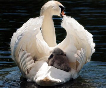 In all of us there is a place